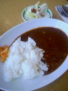 暑いのでカレー